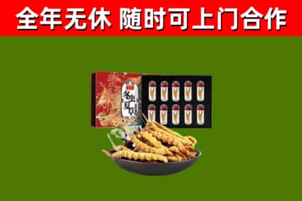 藁城烟酒回收冬虫夏草礼盒.jpg